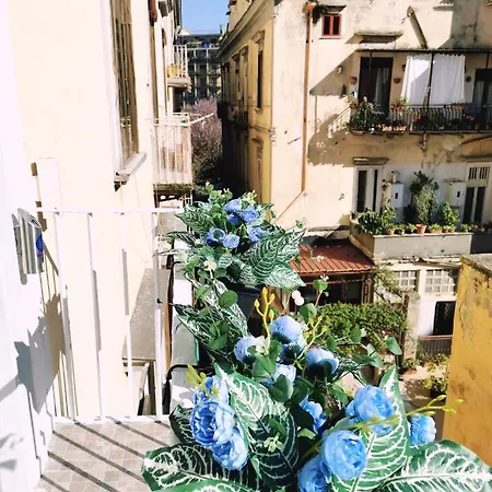 I Tesori Di Pensión 4*